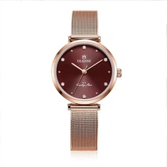 Polshorloges Nieuwe Stijl Dames Kijken Roestvrij Staal Buitenlandse Handel Fashion Watch Mesh Belt Fashion Waterproof